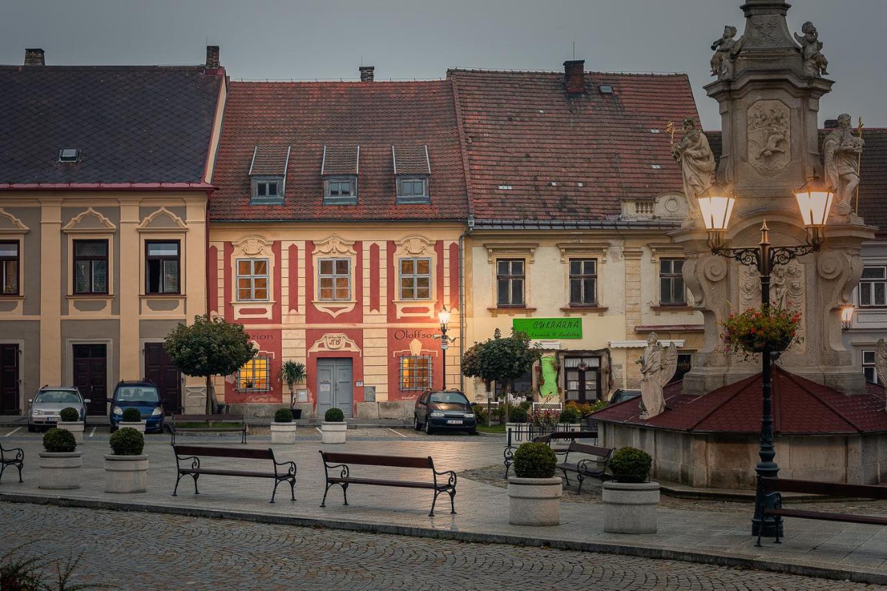 Penzion Oloffson Počátky Bagian luar foto